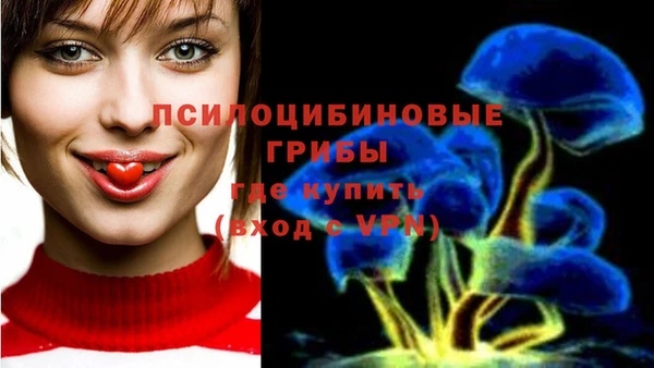 jwh Армянск