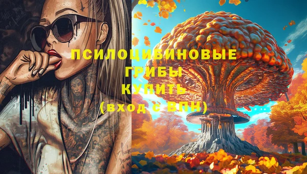 герыч Алзамай