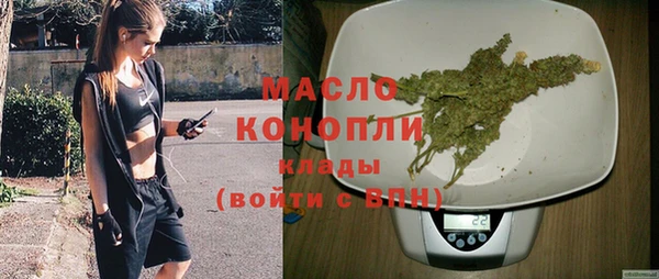 сатива Кинешма