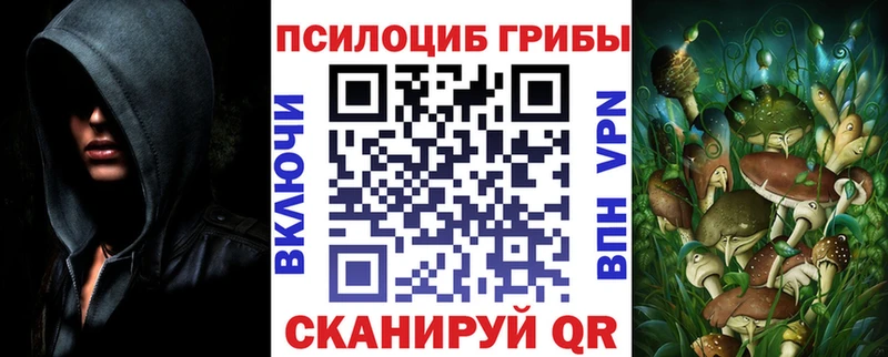 MEGA зеркало  Курган  Псилоцибиновые грибы ЛСД 